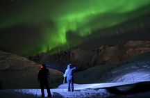 Snowshoe Expedition with Local Guides in Artic Terrain