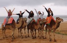 4 hour private Tour of Tangier