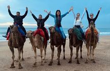 4 hour private Tour of Tangier