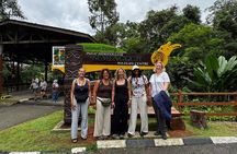 Semenggoh Orangutan and Annah Rais Longhouse