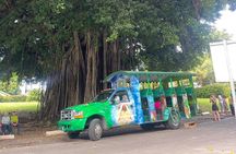 Roseau Dominica Safari Scenic: Rainforest, Falls & Karaoke