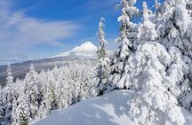 Mt. Hood Winter Wonderland Snowshoe Adventure
