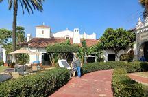 Ensenada City Highlights Tour with Local Guide and Food Options