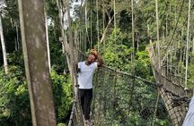 Cape Coast Day Tour Experience.