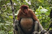 Bako National Park : Nature & Wildlife