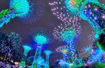 Full day Tour: Food tour, 40-min Cruise & 2 top-visit Light shows