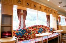 Kyoto Sea Scenic Train Ride and Coastal Exploration