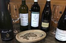 Wine Tasting with Food and Tufa Cellar Visit in Orvieto