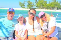 Private Dolphin and Intracoastal Tour of Anna Maria Island