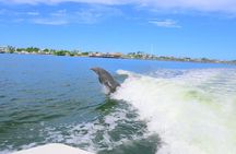 Private Dolphin and Intracoastal Tour of Anna Maria Island