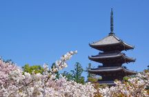 Kyoto: Ninna-ji, Stunning Pagoda and Gardens Tour in 1.5h