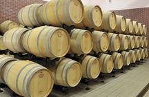 Private Day Trip From Plovdiv To Wine Cellars And Wine Tasting