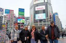 Best of Tokyo Private Tour for Yokohama Cruise Passengers