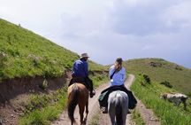 Horseback Riding Adventure in Ala archa National park