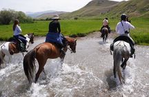 Horseback Riding Adventure in Ala archa National park