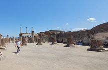 Discover Pompeii: Guided Tour with Official Ticket & Fast Access
