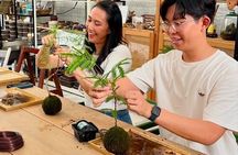 Japanese Kokedama Class in Milan’s Navigli District
