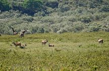 1 Day Hiking Mt Longonot with optional boat ride From Nairobi