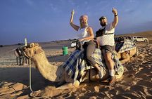 Desert Safari and Heritage Village Camp