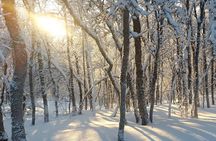 Guided Tromsdalen Snowshoe Adventure Starts Here