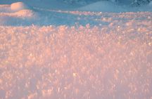 Guided Tromsdalen Snowshoe Adventure Starts Here