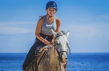 Hurghada Desert and Beach Horse Riding Tour: 2 Hours