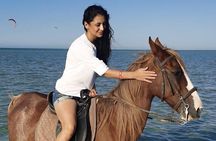 Hurghada Desert and Beach Horse Riding Tour: 2 Hours
