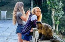 Tijuca Forest: Waterfall Trail and Immersion in Nature