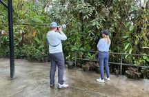 Mindo Cloud Forest Customizable