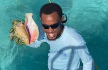 Group Catamaran 4 hr tour coral reef fun Iguana island adventure!