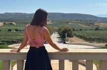 Athens wine tour: Wine museum and wine tasting with food pairing