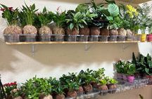 Japanese Kokedama Class in Milan’s Navigli District