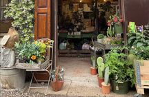Japanese Kokedama Class in Milan’s Navigli District