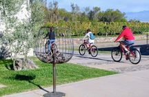 Uco Valley Wine & Bike Full Day Experience