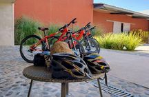 Uco Valley Wine & Bike Full Day Experience