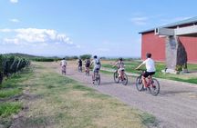 Uco Valley Wine & Bike Full Day Experience