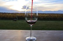 Uco Valley Wine & Bike Full Day Experience