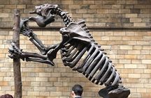 Londons Natural History Museum