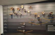 Londons Natural History Museum