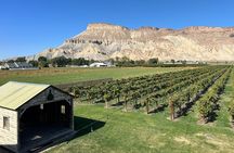 Palisade Wine Tour Luxury Wine Tasting Experience