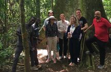 1Day Jinja group tour & source of the Nile (Airpals Safaris Tour)