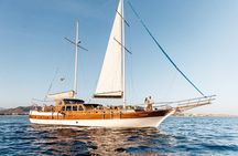 Cabo Sunset Dinner Cruise Gourmet Dining and Premium Drinks