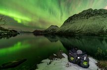 Tromsø Fjordland Aurora Chase Northern Lights by the Arctic Sea