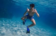 Golden Hour Glow Snorkel: Snorkel With Sea Turtles