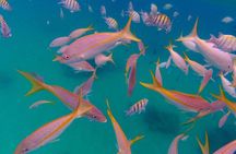 Private Snorkeling Adventure in Puerto Rico's Natural Reserve