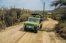 Half-Day Jeep Tour in Aruba