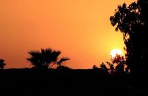 Experience in Agafay Desert Camel Ride Quads and Dinner with Show