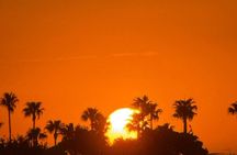 Experience in Agafay Desert Camel Ride Quads and Dinner with Show