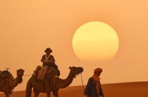 Experience in Agafay Desert Camel Ride Quads and Dinner with Show