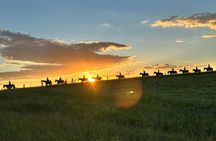 Hunter Valley Sunset Horse Ride - 90 Minutes